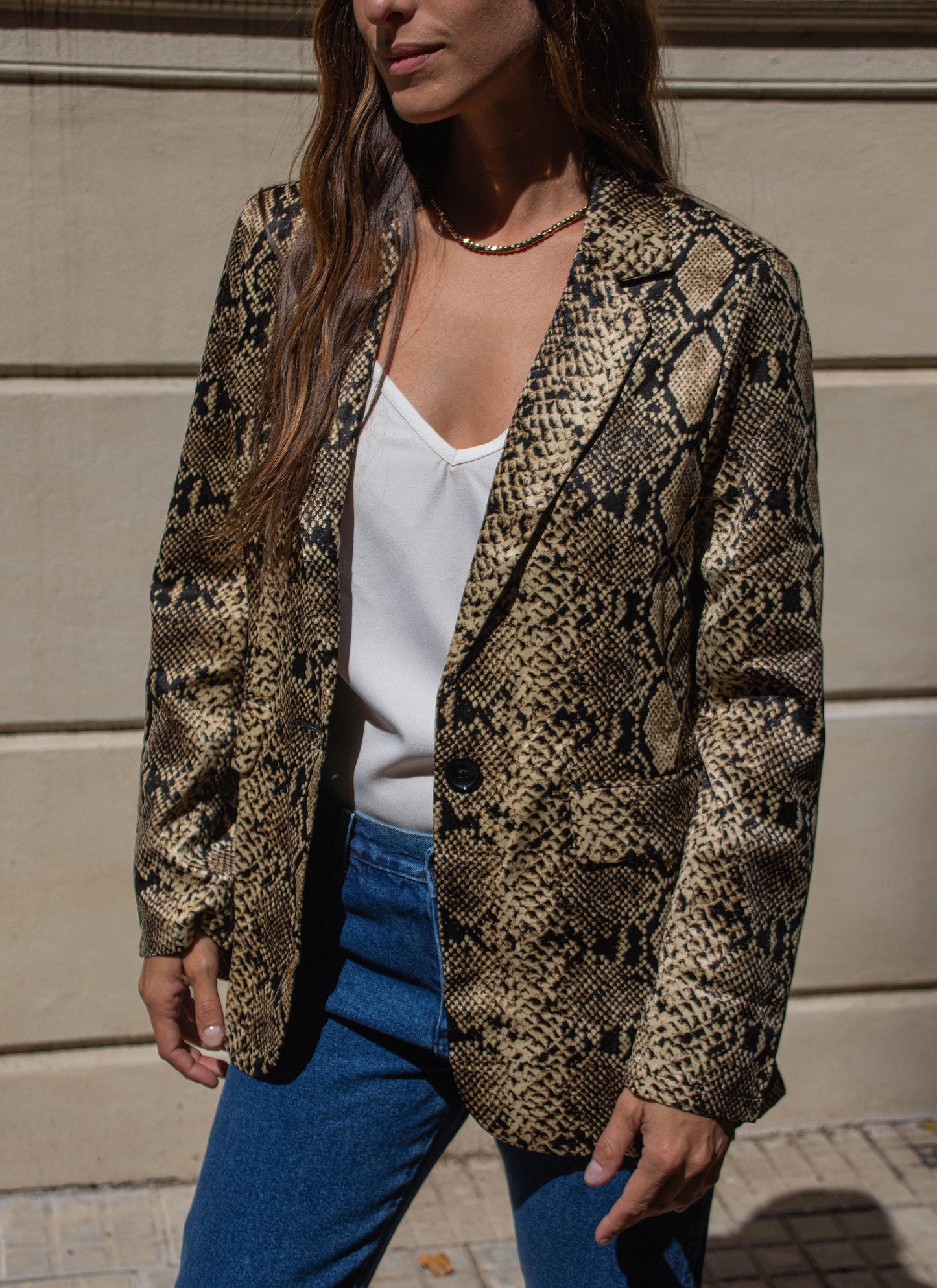 BLAZER CANTO