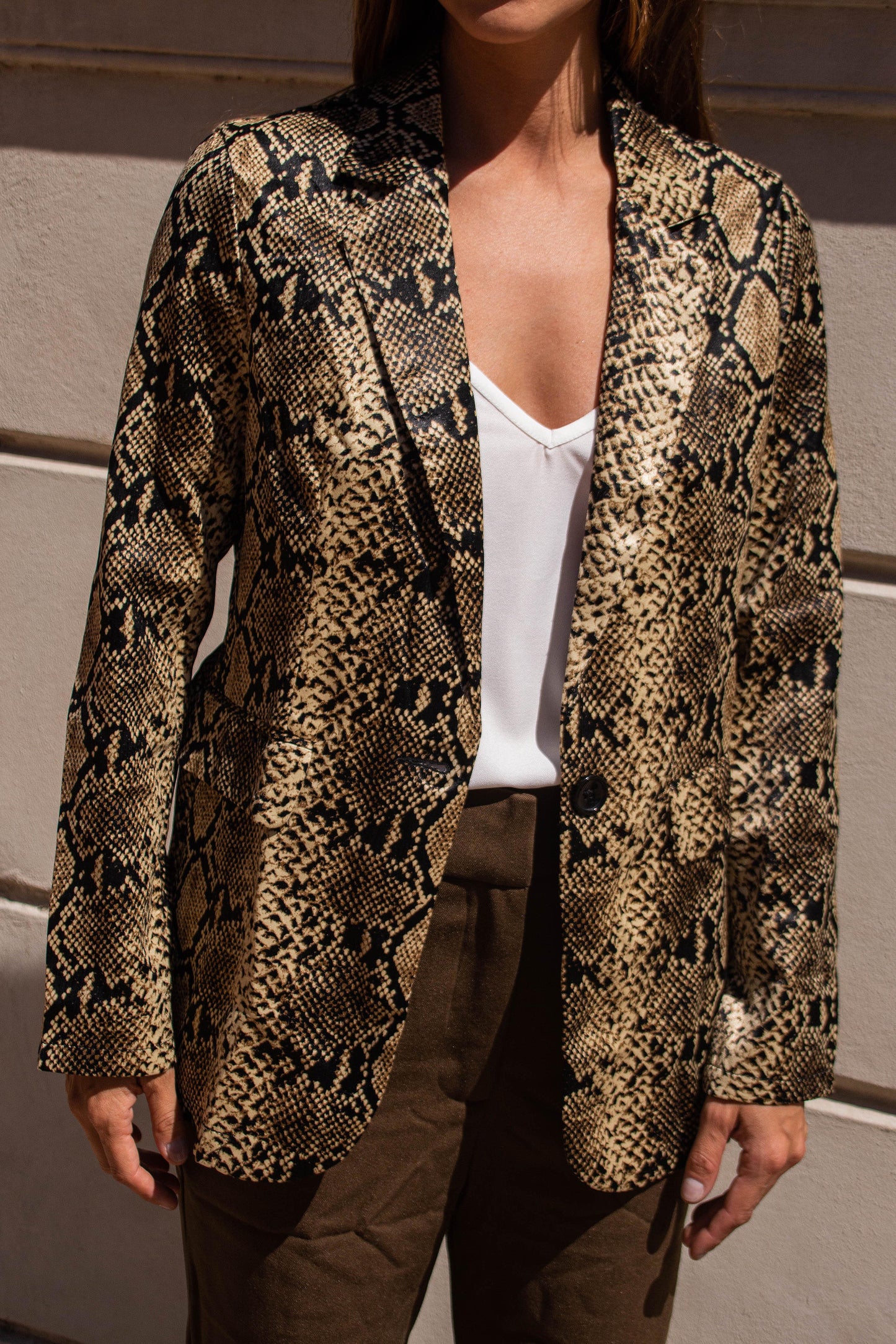 BLAZER CANTO